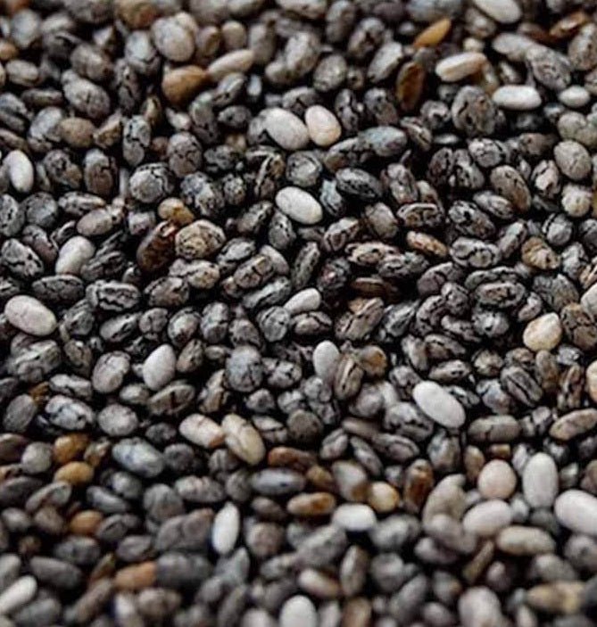 Organic Chia Seeds 500gm - SeedOLeaf