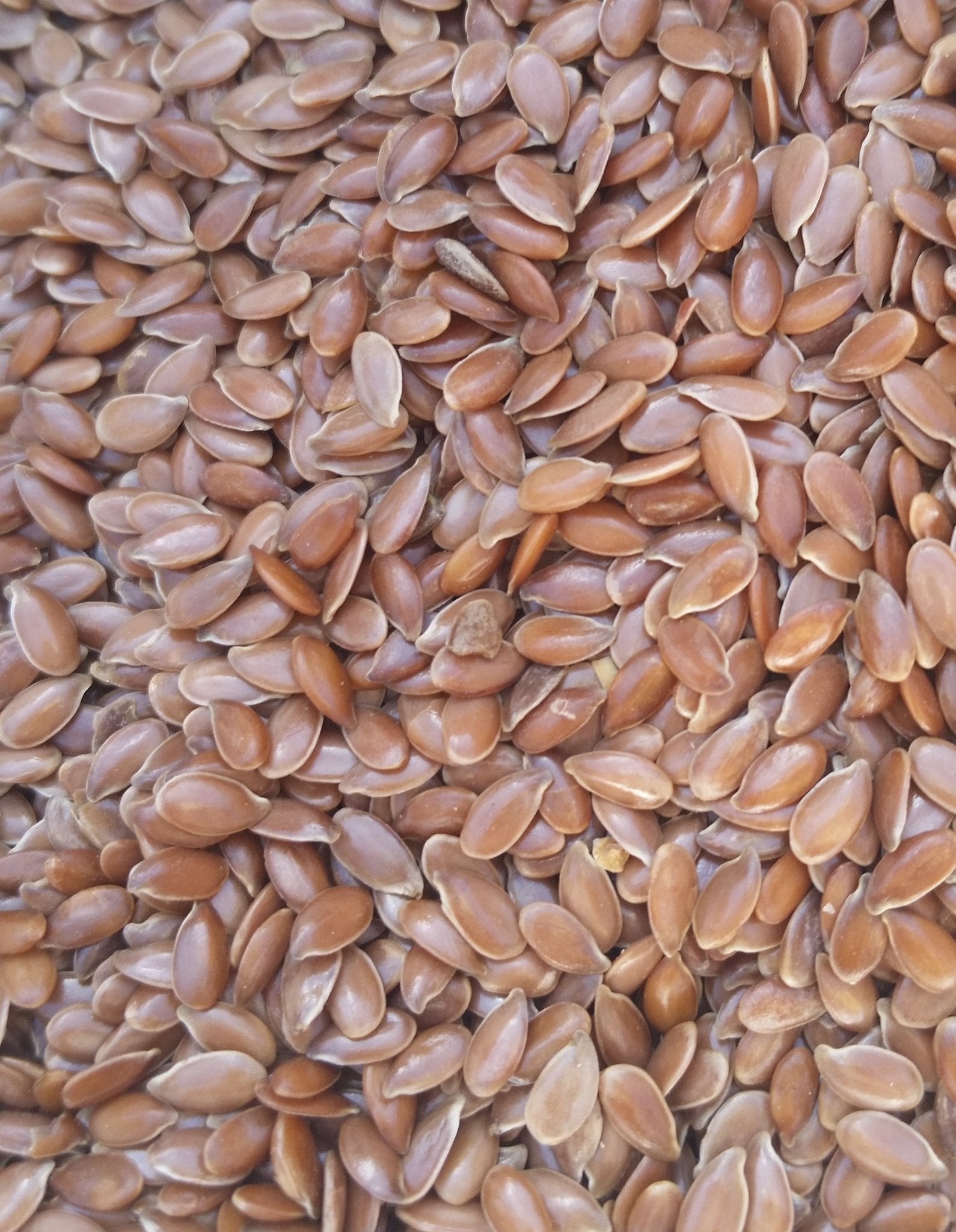 Organic Flax Seeds 500gm - SeedOLeaf