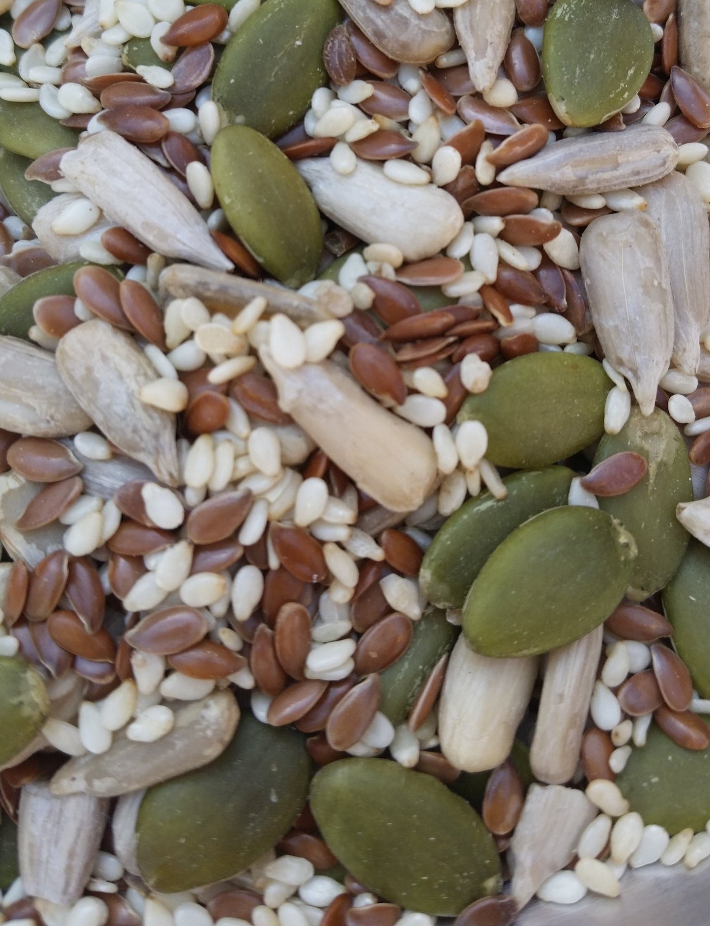 Super Mix Seeds 500gm - SeedOLeaf