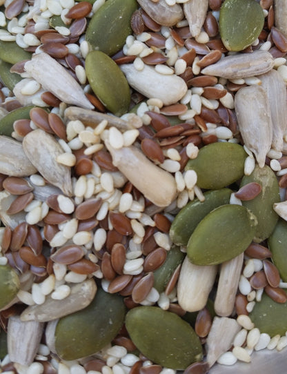 Super Mix Seeds 500gm - SeedOLeaf